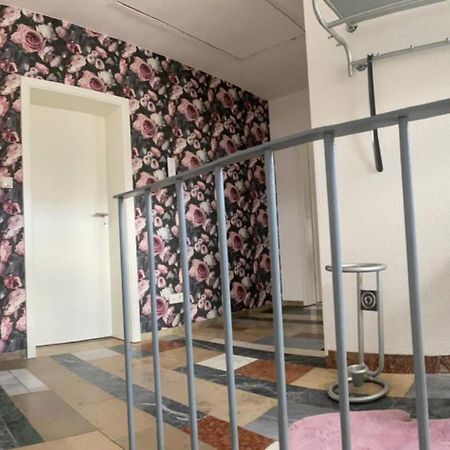 Erica Ferienwohnung Auf Dem Traumpfad Ettringen  Экстерьер фото